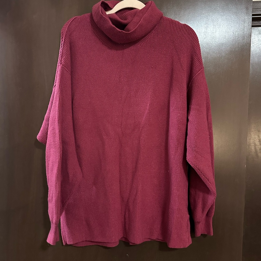 Free People Rich Red Turtleneck Sweater